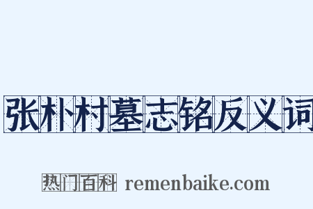 张朴村墓志铭反义词是什么意思的图片